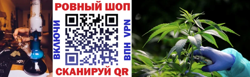 Виды наркотиков купить Светлогорск мега   СОЛЬ  ГАШ  Меф  Канабис 