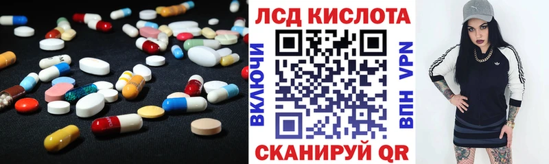 KRAKEN как войти  Светлогорск  Лсд 25 экстази кислота 