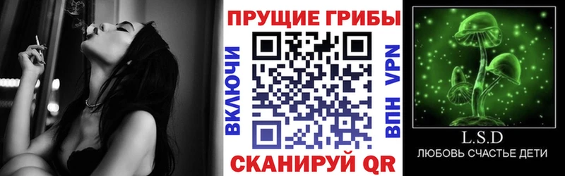 Галлюциногенные грибы мицелий  Светлогорск 