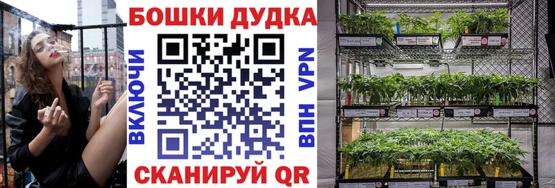 Бошки марихуана SATIVA & INDICA  наркотики  Светлогорск 
